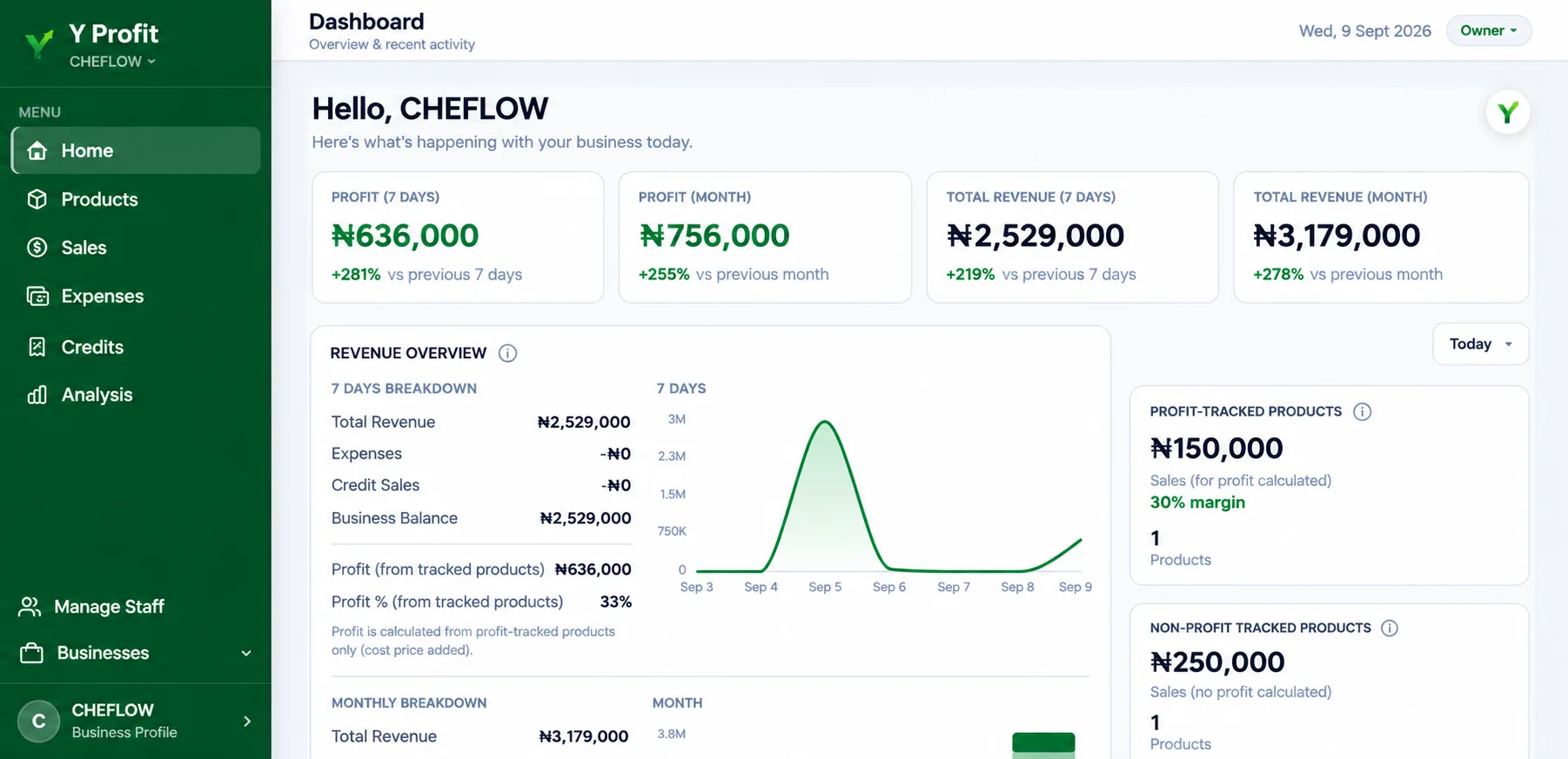 Y Profit dashboard showing revenue overview and profit tracking